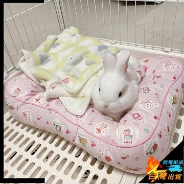 【台灣出貨】兔兔睡墊 兔子趴趴墊 防水耐磨 龍貓 侏儒 兔兔趴趴窩 四季通用  小寵窩 兔子床 兔子床墊