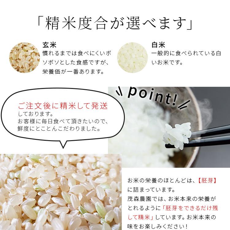 米 日本晴れ 3kg 令和5年 米 送料無料 お米 玄米 白米 精米無料 農家直送 近江米 滋賀県産