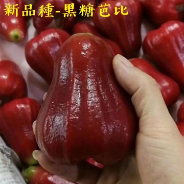 【緁迪水果JDFruit】水果禮盒推薦-台灣小農【高雄六龜】頂級黑糖芭比蓮霧(約9-10顆/2kg/原裝箱)｜送禮首選