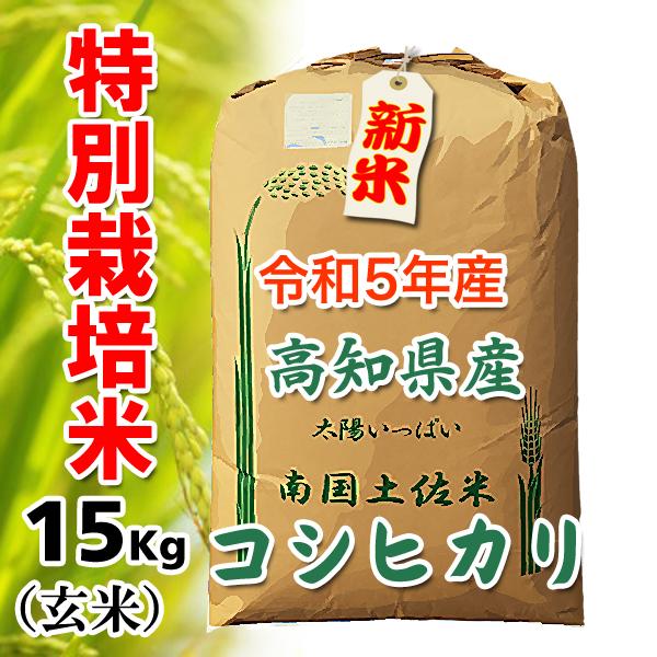 令和5年産　高知県産　コシヒカリ　特別栽培米 (節減対象農薬　当地比５割減) 　15Kg　玄米