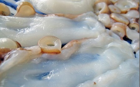 明石産の真蛸　蛸しゃぶ鍋 冷蔵
