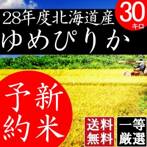 ゆめぴりか 10kg 白米 北海道米 米 北海道産