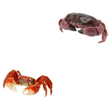 玩具研究中心 現貨 萬代 轉蛋 生物大圖鑑 螃蟹02 花紋愛潔蟹 紅殼蟹 兩款一組 日版