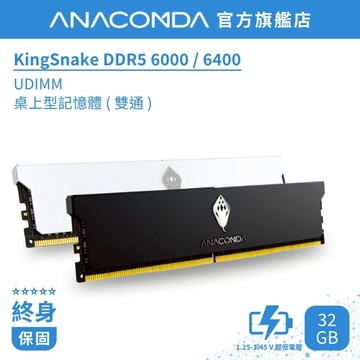 【隔日到貨】巨蟒 DDR5 記憶體 6000／6400 32GB (16GB×2) UDIMM｜KingSnake 雙通