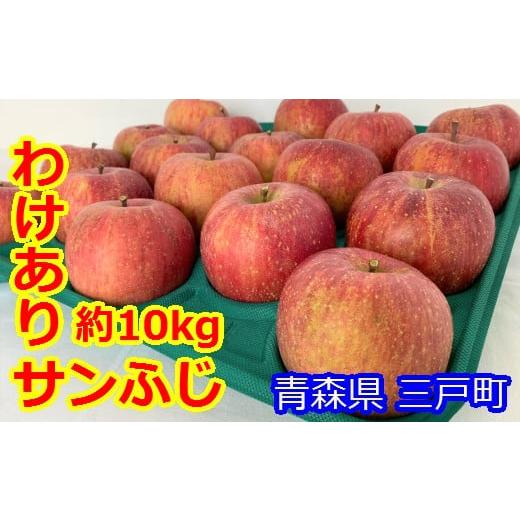 ふるさと納税 青森県 三戸町 りんご「サンふじ」28〜40玉（約10kg）