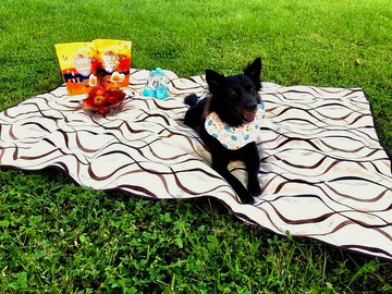 不勞奢 寵物外出用墊/露營墊/野餐墊=(曲線/圈圈/深藍絲花)