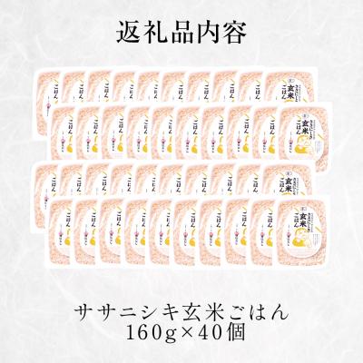 ふるさと納税 石巻市 ササニシキ玄米ごはん 160g × 40個