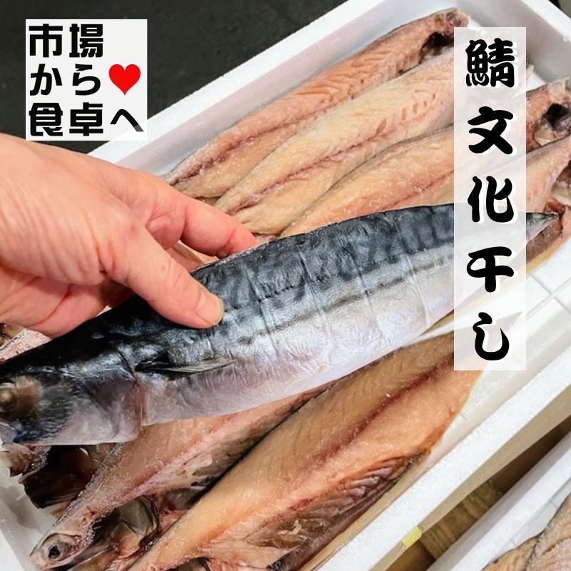 さば文化干し 鯖の干物 10枚(1枚当たり約120g)脂のっています