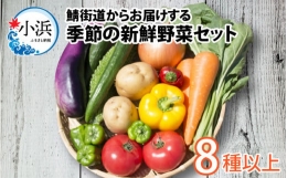 鯖街道からお届けする季節の新鮮野菜セット 8種以上 [A-023007]