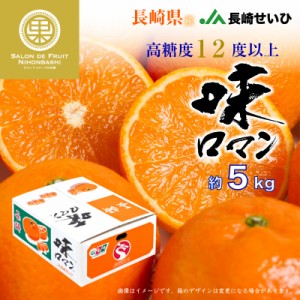 [予約 2023年 12月5日から12月30日の納品] 味ロマン みかん 約 5kg 長崎県 JA長崎せいひ 高糖度 長崎 高級 産地箱 冬ギフト お歳暮 御歳