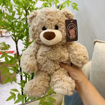 泰迪熊毛絨玩具抱抱熊公仔兒童閨蜜聖誕節禮物小衆生日禮物
