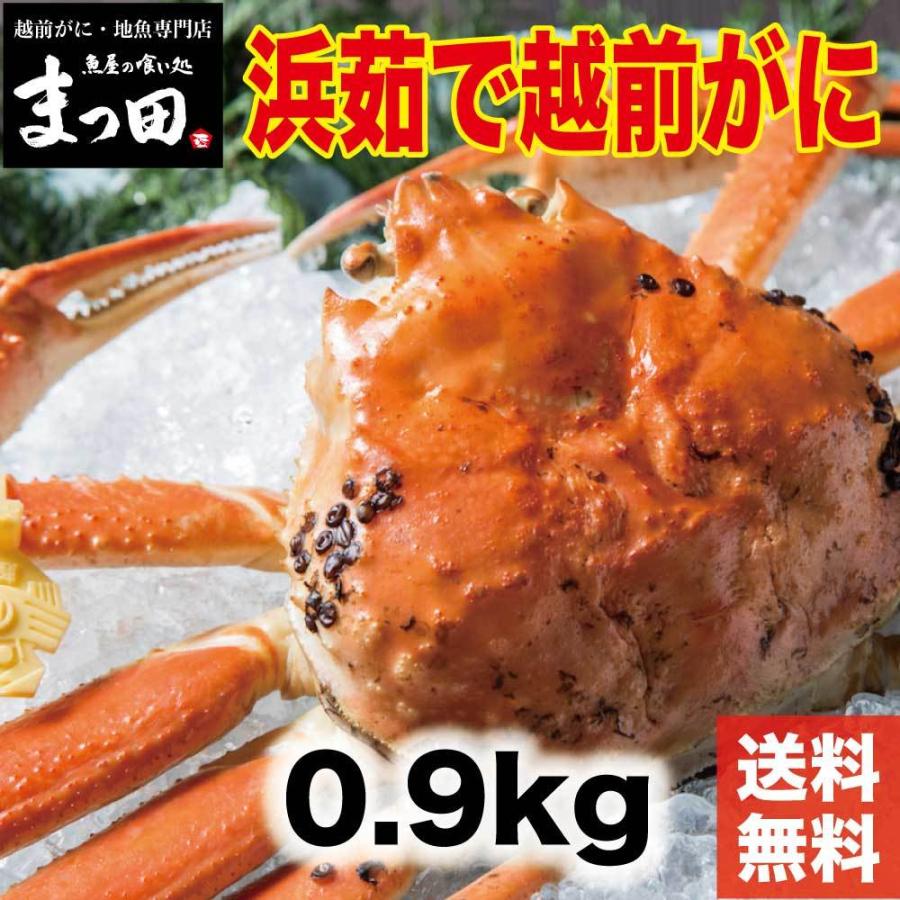 茹で越前がに 0.9kg 1パイ 冷蔵 便 越前ガニ かに カニ 蟹 ズワ イ ズワイガニ お取り寄せ 福井  かに カニ 蟹