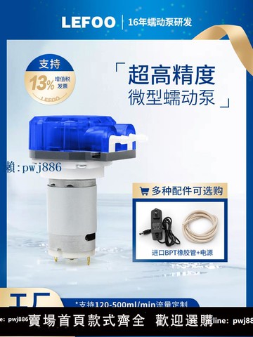 【品質高 價格低】打統編微型水泵12/24v水泵小型電動直流抽水泵 水培實驗室自吸蠕動泵