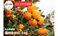 とびっきりの愛媛片山果樹園　温州みかん３kg（家庭用大小混合）