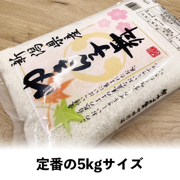 新米 5kg ゆきん子舞 お米 5キロ 令和5年産 新潟県産 産直 精米 白米