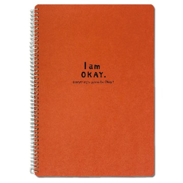 I am okay-18K側翻筆記