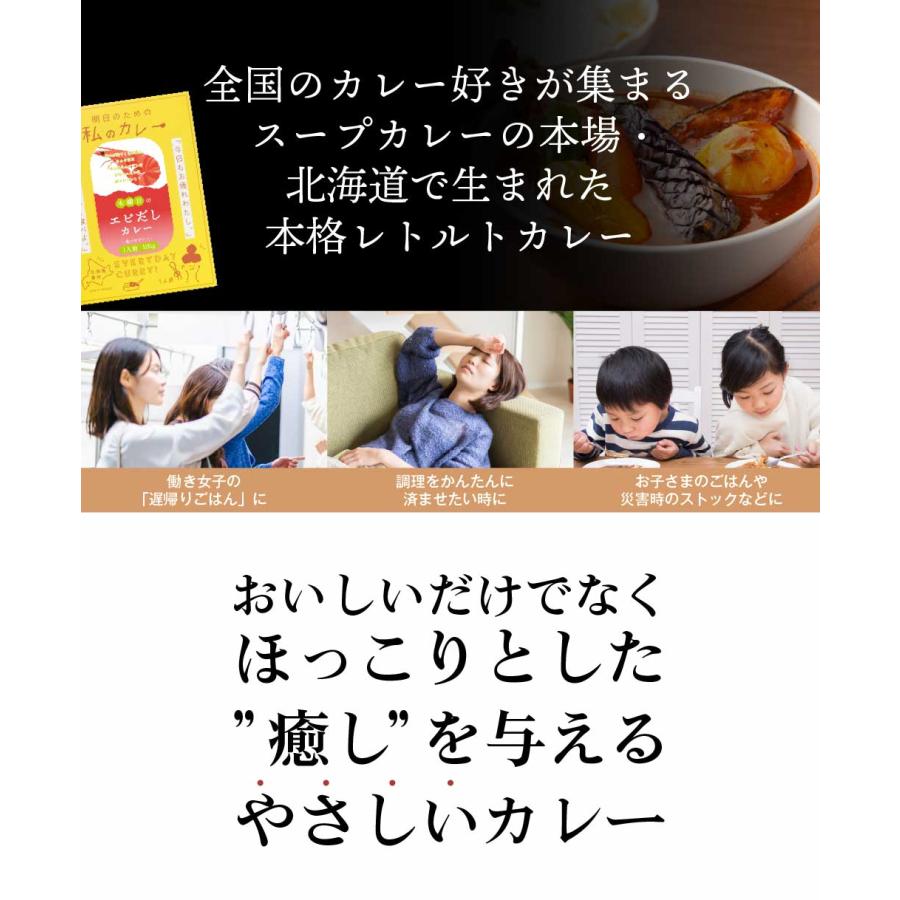 丸市岡田商店 明日のための私のカレー 100g × 6種 × 2セット（12個セット） 送料無料 レトルトカレー ご当地 北海道産 札幌 ギフト お歳暮 御歳暮 クリスマス