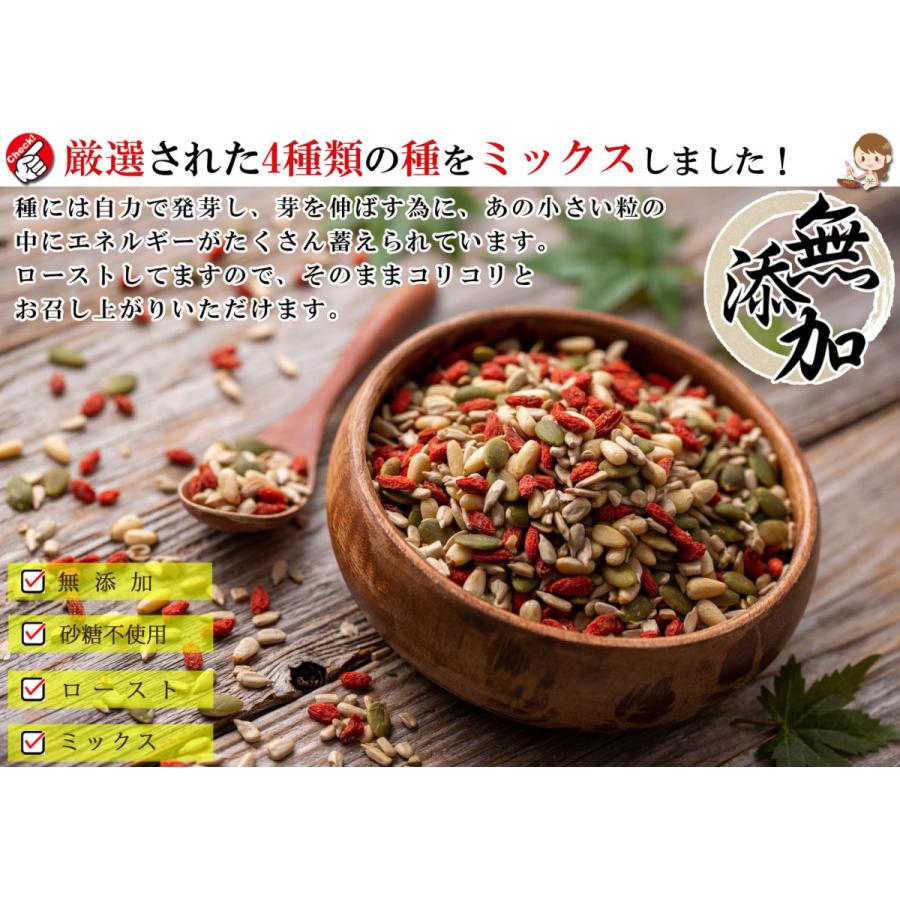 元気のタネ 4種 ミックスナッツ おつまみ 1kg（500g×2個） うす塩味（ ひまわりの種 かぼちゃの種 クコの実 松の実 ） ナッツミックス 塩味 無添加 砂糖不使用