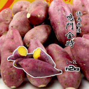 鳴門金時 Ｌ～2Ｌ 徳島県産 なると金時 金時芋 さつまいも 2ｋｇ 2023年 新物 送料無料