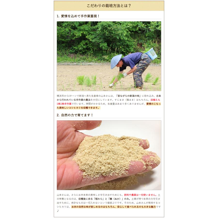 無農薬・無化学肥料 魚沼産コシヒカリ 精米5kg やまさん米 送料無料