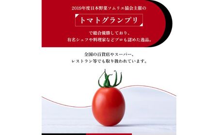 OSMIC トマト トマトグランプリ優勝 mini Premium 500g ミニトマト