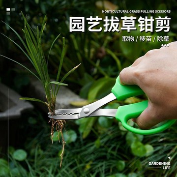 🛒臺灣24h🌳不鏽鋼拔草剪除草夾新款除草夾子懶人拔草神器家用起草花園除雜草