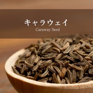 キャラウェイ Caraway Seed    Carawy スパイス ホール ホールスパイス インド食材 Ambika(アンビカ) カレー アジアン食