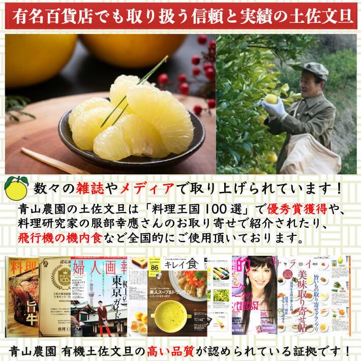 ＼2月中旬発送予約／ 無農薬 土佐文旦 有機肥料 家庭用 10kg 高知県産 2L-L 混合 糖度13度