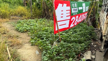 嘉義住商一銀 太保麻魚寮~都計農地｜嘉義縣太保市南新段