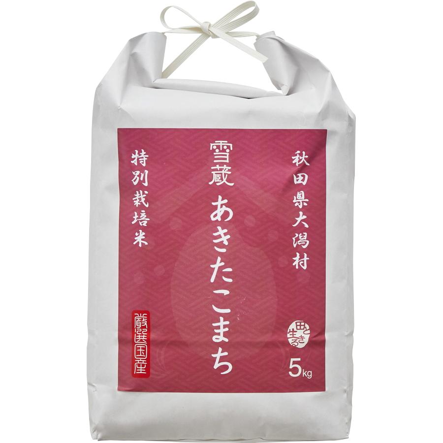 新米 令和5年産 2023年産 あきたこまち グルメ お取り寄せ 秋田県大潟村産 特別栽培米あきたこまち 西武そごうごっつお便 お歳暮