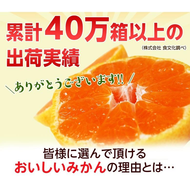 みかん ミカン 愛媛県産 西宇和 川上みかん 大玉２Ｌサイズ 約3kg×2箱 合計約6kg 送料無料