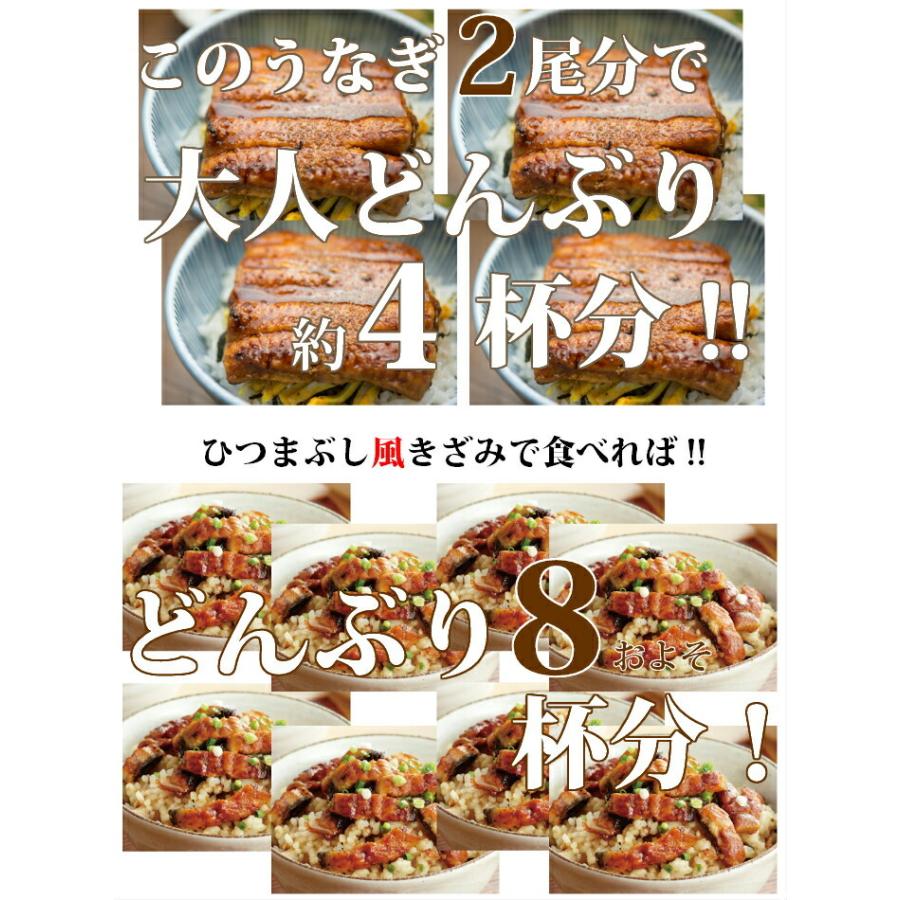 厳選鰻蒲焼約200ｇ×１０尾