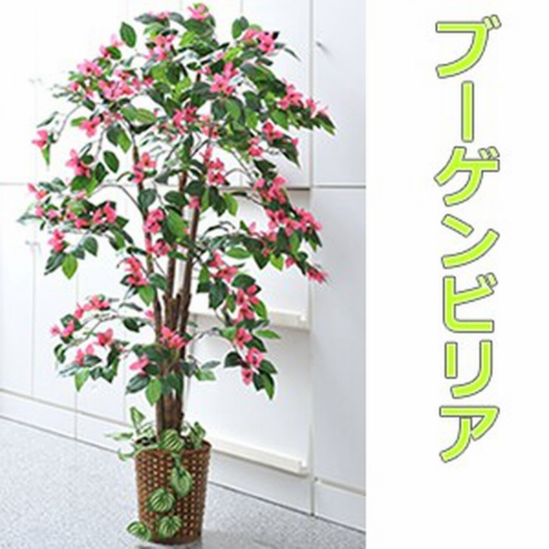 人工観葉植物 ブーゲンビリア 大型観葉植物 店舗用 リビングにもお勧め 観葉植物 今なら竹製鉢カバー付 通販 Lineポイント最大1 0 Get Lineショッピング