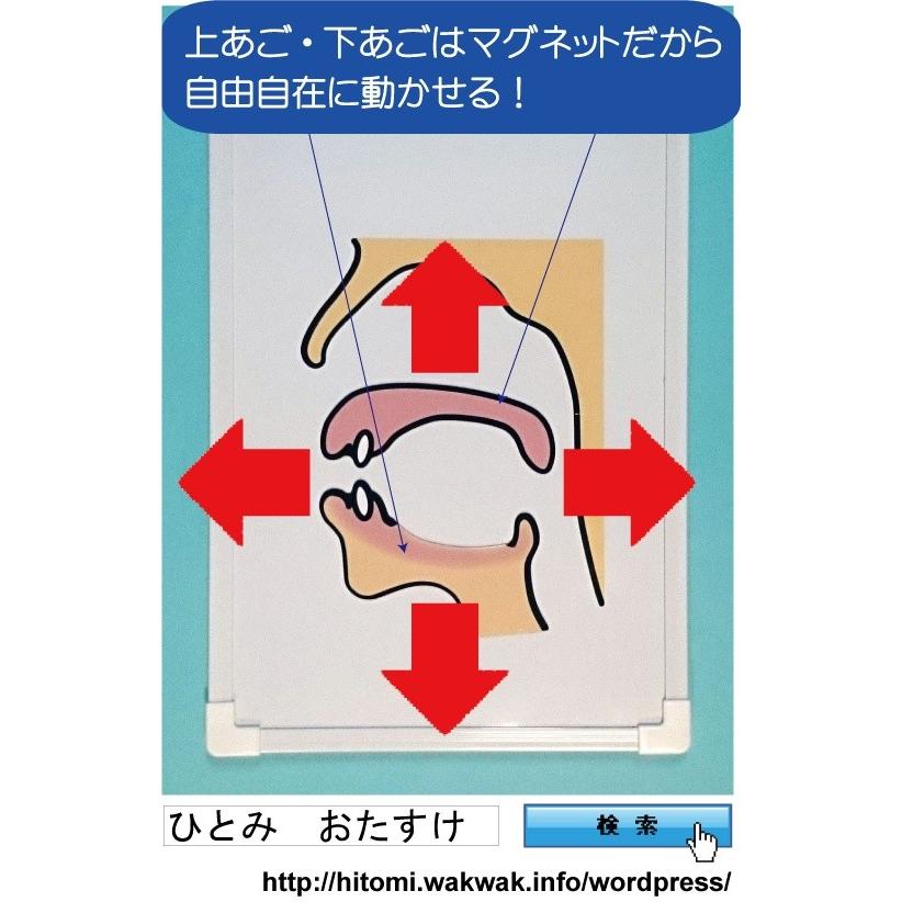 ひとみ先生の発音おたすけボード（ガイドブック：日本語指導用）口腔断面図付きホワイトボード　日本語・音声学・発音指導・教材・教具・日本語学校・日本語教師