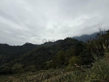 竹東超大地坪山坡美地｜新竹縣竹東鎮上坪