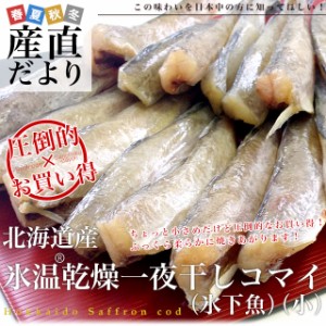 北海道産 コマイの氷温乾燥一夜干し　約1キロ (200g×5袋) 産直だより 北海道直送 氷下魚 生干し 送料無料