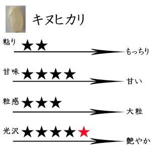 新米 10kg 白米 三重県伊賀産 キヌヒカリ ミルキークイーン ヒラキファーム 令和5年産