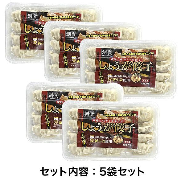 島根県産 しょうが餃子 5パックセット 新しょうがを7％使用！ ニンニク不使用！ 生姜餃子 冷凍餃子 島根県飯南町 新生姜