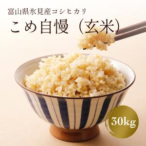 ふるさと納税 令和5年産富山県産コシヒカリ《こめ自慢》30kg＜10月以降順次発送＞ 富山県 氷見市 こしひかり 30kg 特別栽培米 玄米 富山県氷見市