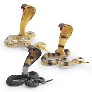 🌈「動物世界」仿真野生爬行動物毒蛇模型兒童認知眼鏡蛇蝙蝠蛇整蠱裝飾擺件