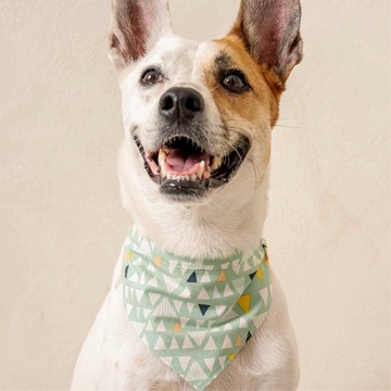 雙面綁帶領巾_北歐森林_XS/S/M/L