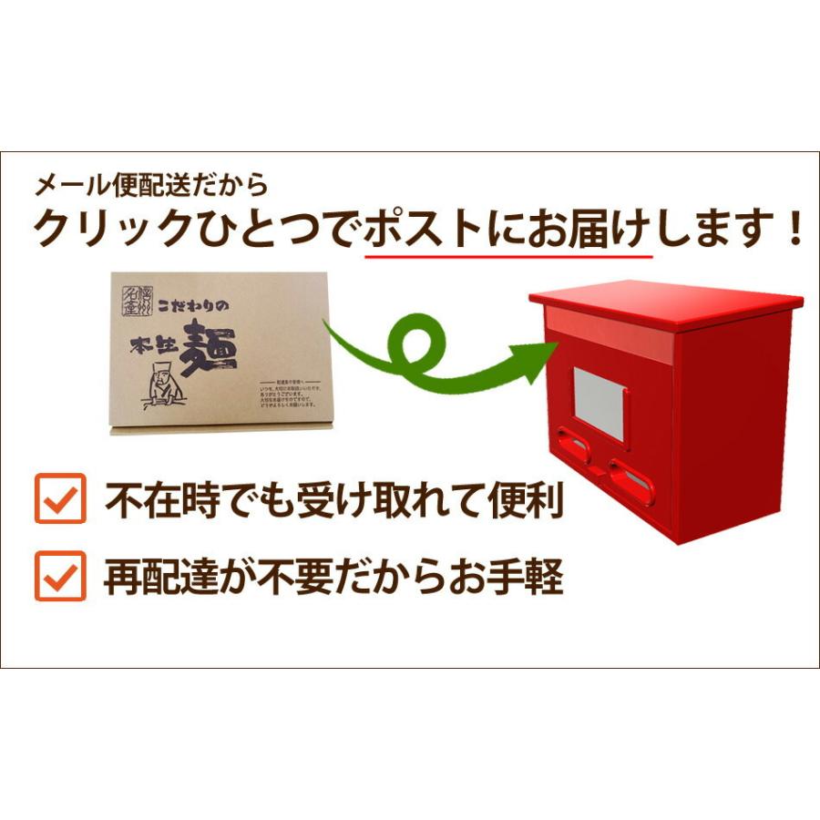 送料無料 本なま麺　ほうとう　特製カレースープ　3食セット