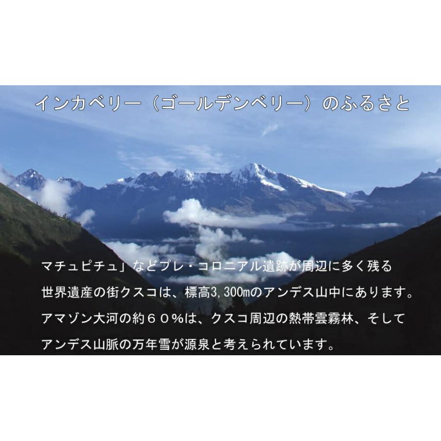 「有機インカベリー130g」インカベリー（ゴールデンベリー）の原産地・ペルーアンデス産です。噛むほどに染み出る自然な甘みそして酸味