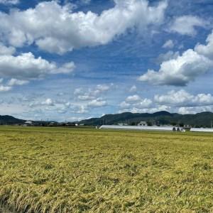 ふるさと納税 ＜なごみの里あさひ＞「京都 旭のお米」丹波 亀岡産 コシヒカリ 10kg（5kg×2袋）×6ヶ月 計60kg 《新米 白.. 京都府亀岡市