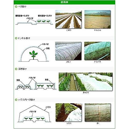 三菱ケミカルアグリドリーム 農業用不織布 パオパオM-6 幅120cm 長さ200m