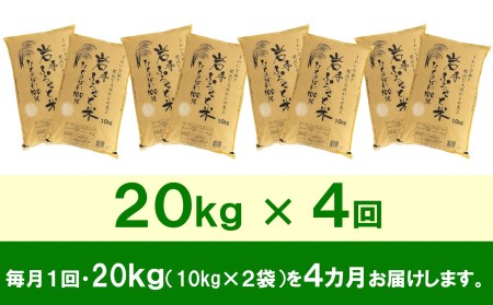 3人に1人がリピーター!☆全4回定期便☆ 岩手ふるさと米 20kg(10kg×2)×4ヶ月 令和5年産 新米 一等米ひとめぼれ 東北有数のお米の産地 岩手県奥州市産 [U0175]