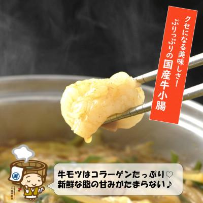 ふるさと納税 あわら市 越前のホルモン屋 国産牛 ぷるるんもつ鍋セット