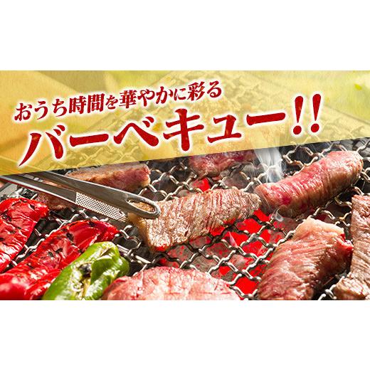 ふるさと納税 宮崎県 日南市 ≪数量限定≫牛・豚・鶏のトリプルよくばり焼肉セット(合計2kg)　肉　牛肉　豚肉　鶏肉 C73-21