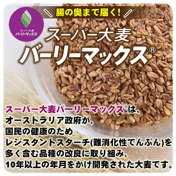 バーリーマックス 300g スーパー大麦 メール便 送料無料 セール特売品