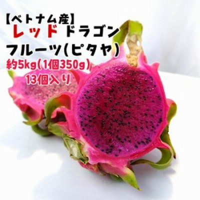 クリアランスバーゲン 期間限定開催 ベトナム産 ホワイトドラゴンフルーツ ｍ 13入り 5ｋｇ 1個350ｇ以上 送料無料 ピタヤ トロピカルフルーツ 白 新品本物 Farmerscentre Com Ng